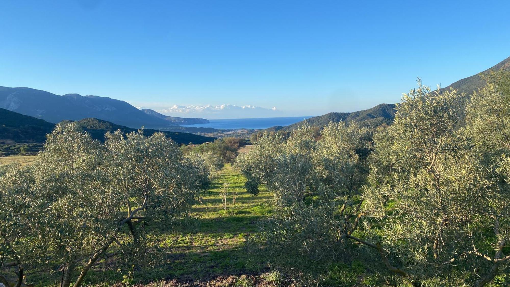 פלומינימאג'ורה Agriturismo Il Ginepro מראה חיצוני תמונה