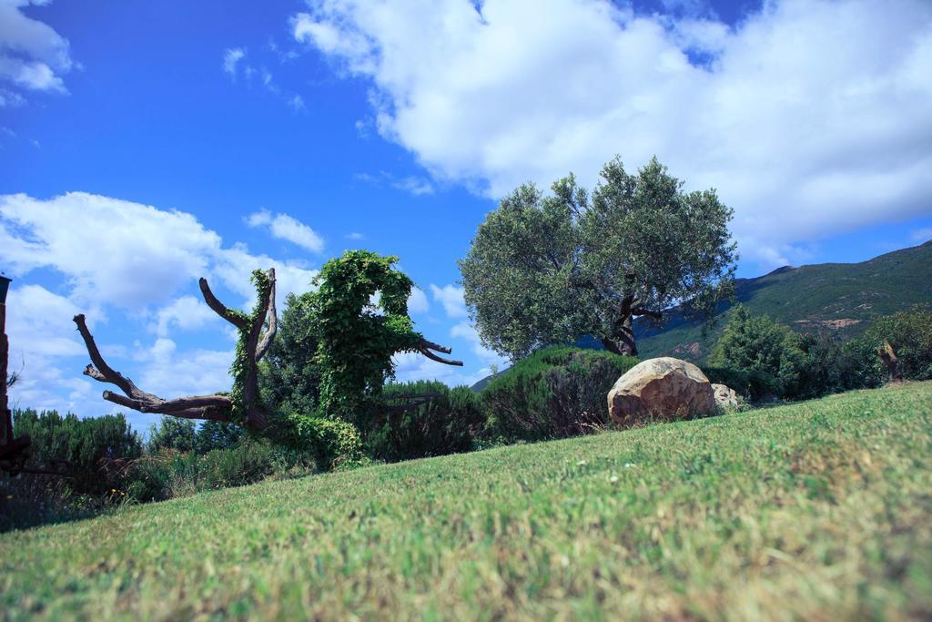 פלומינימאג'ורה Agriturismo Il Ginepro מראה חיצוני תמונה